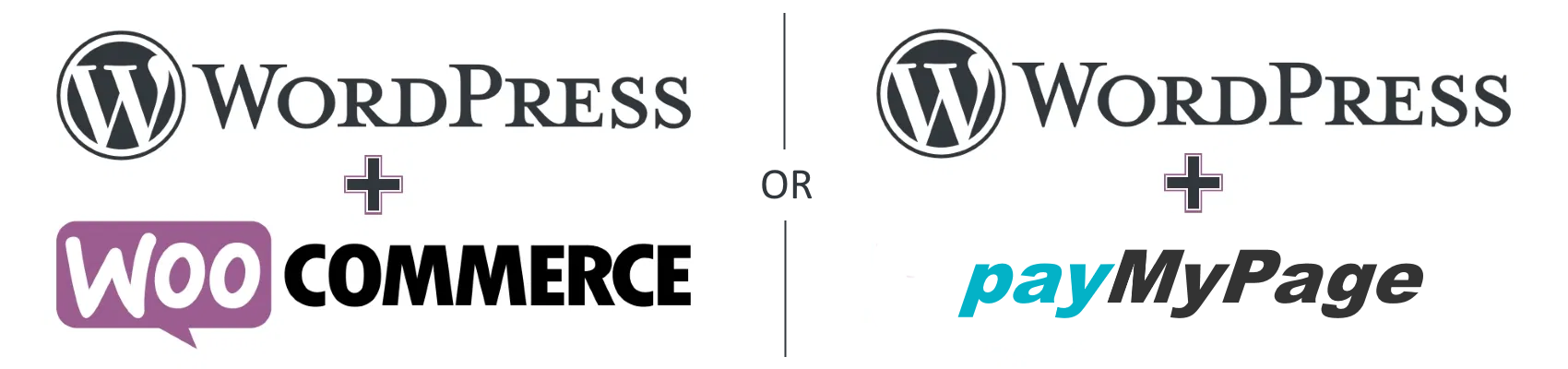 add online payments to wordpress woocommerce pmp